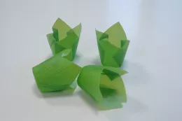 Caissette Tulipcup Vert 3cl 110x110x60 35Ø